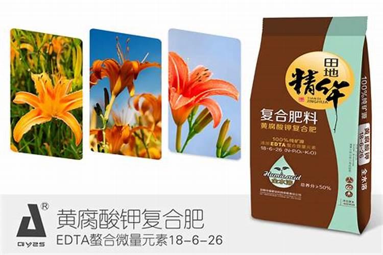 黄花菜开花期想要施肥,应该怎么施肥呢？