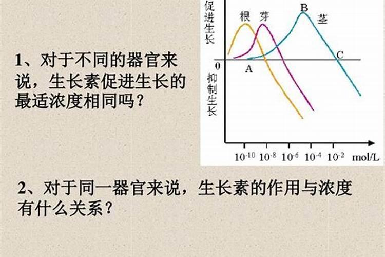 茄子高产用什么叶面肥好？茄子促花保果根茎块膨大素？