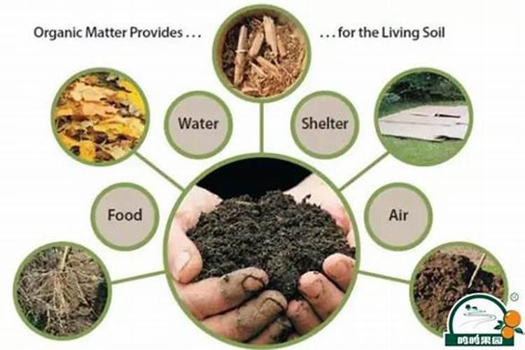 有机肥有机质含量规定