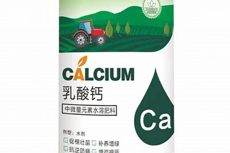 乳酸钙是什么制成的