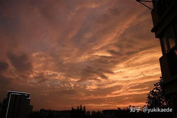 打叶面肥较合适的时机,在什么时候呢？