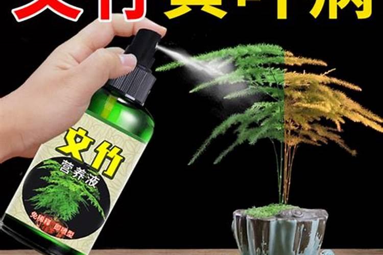 幸福树要使用什么肥料？