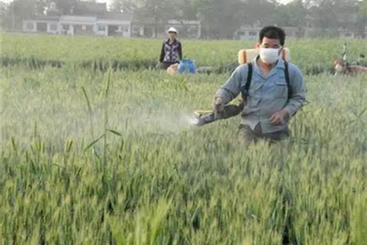 有机硅在农业的作用和用途是什么