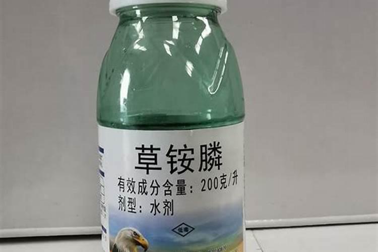 精草铵膦毛芋田除草会有药害吗？