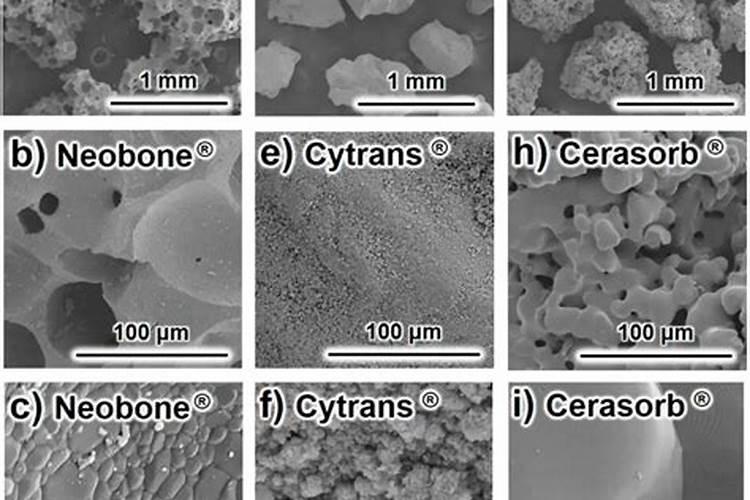 骨粉是磷肥还是钾肥