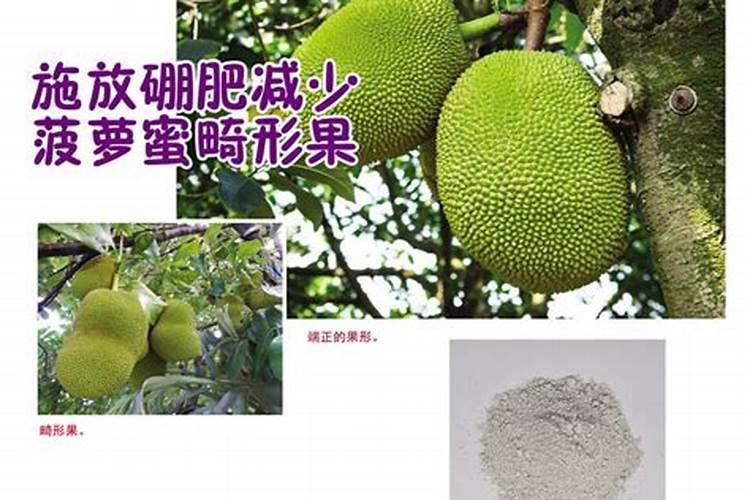 中国十大干洗品牌有哪些？