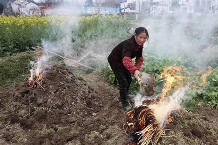 草木灰可以和复合肥一起施肥吗 尿素和草木灰可以一起下吗