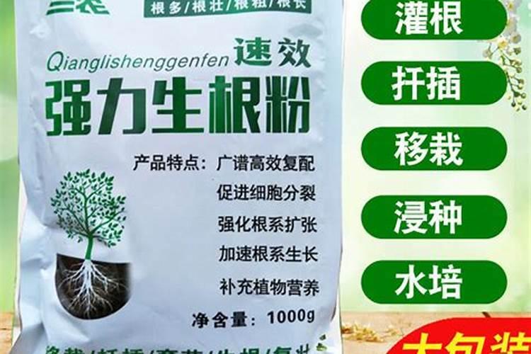 什么肥生根好？