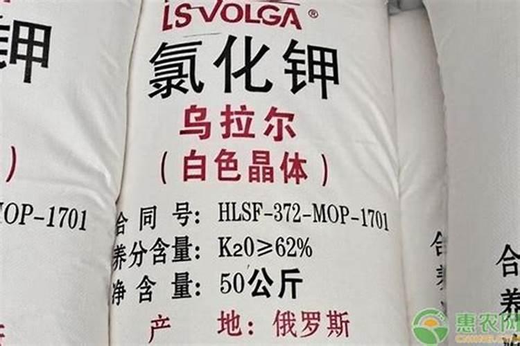 钾肥价格多少钱一吨如何挑选优质的钾素肥料