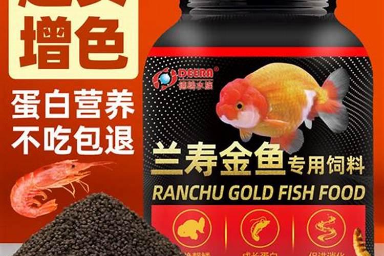 鱼蛋白能钓什么鱼