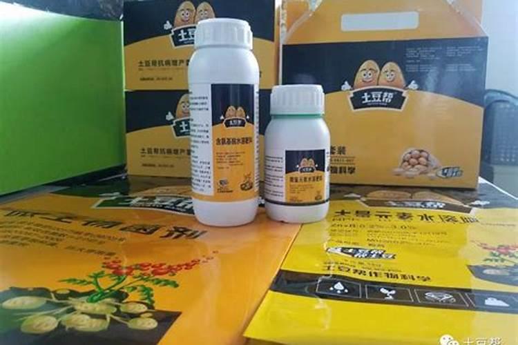 土豆一般是在几月种植的？