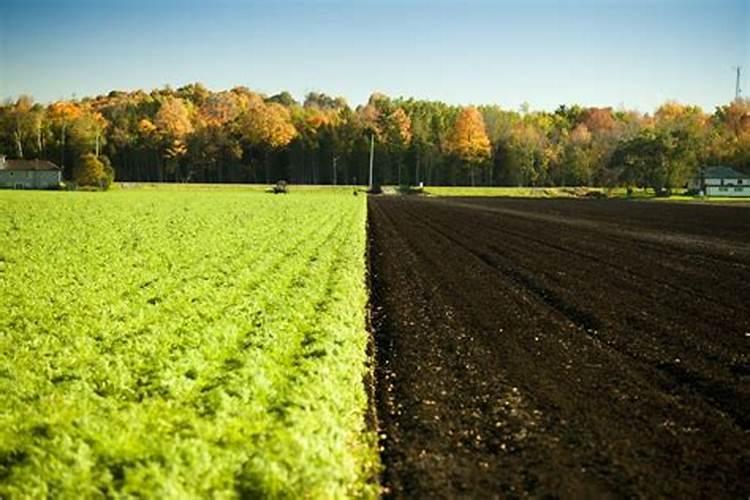 为什么中国钾肥紧缺的