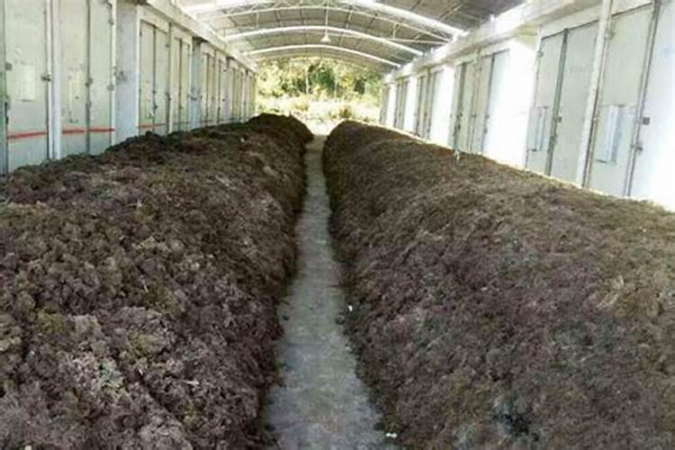 磷肥的沤制方法 关于磷肥的沤制方法