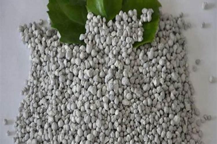 果树补钙用什么钙肥好 什么时候使用效果好