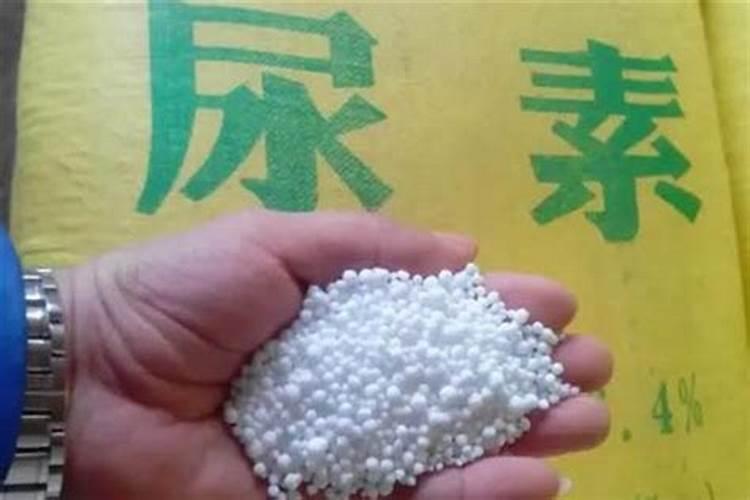 尿素和氮肥有什么区别