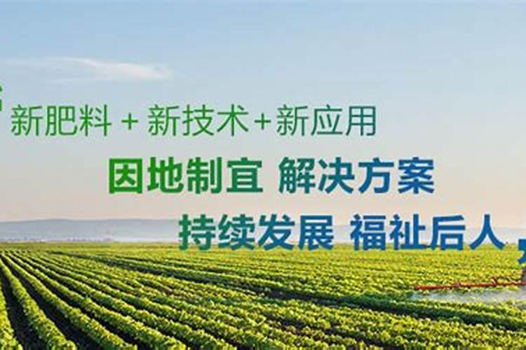 棉花施肥使用什么肥料？棉花该如何施肥？