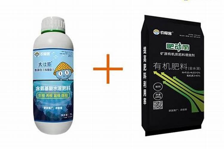 猕猴桃僵苗怎么办