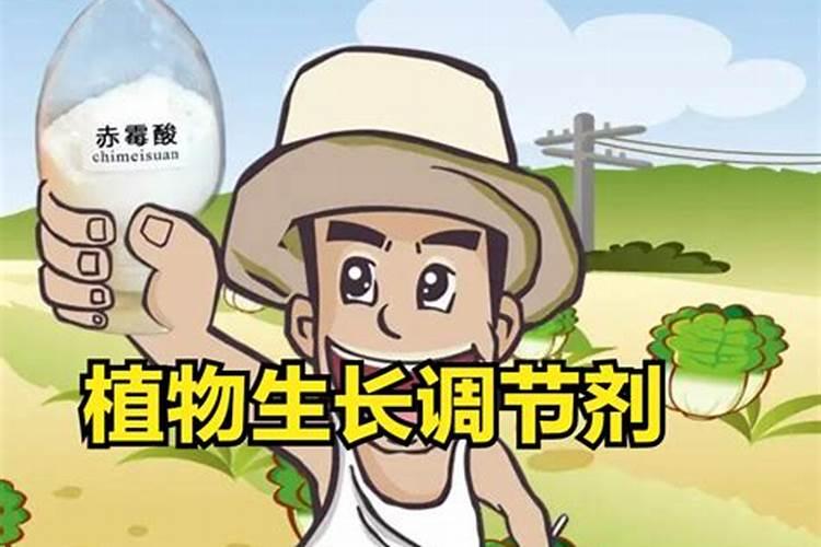 水溶肥冲上几天见效