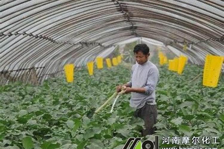 什么是质量标示？我在线等!