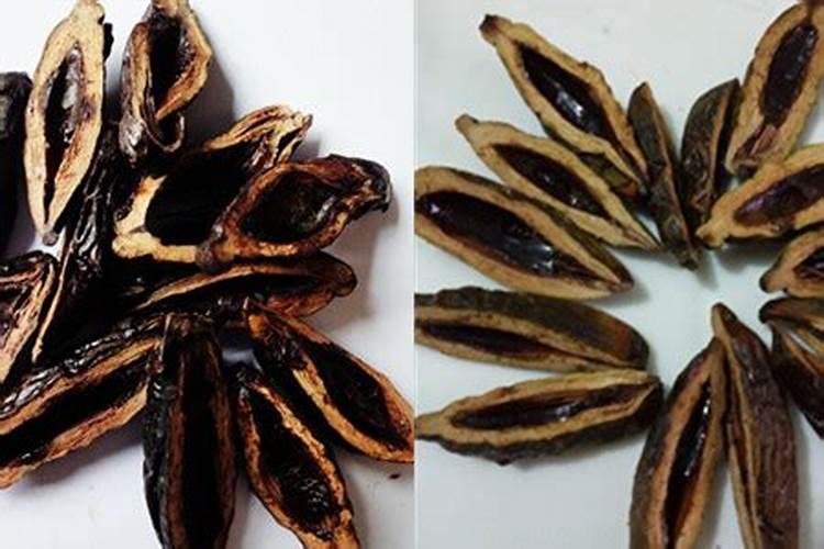 槟榔催花技巧 槟榔催花技巧有哪些