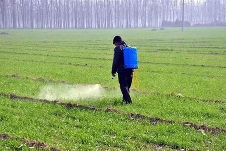 小麦除草剂能和叶面肥混合打吗 什么时候打合适