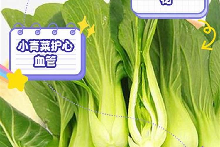 菜园里的疏菜因为有了肥料更加茂盛了