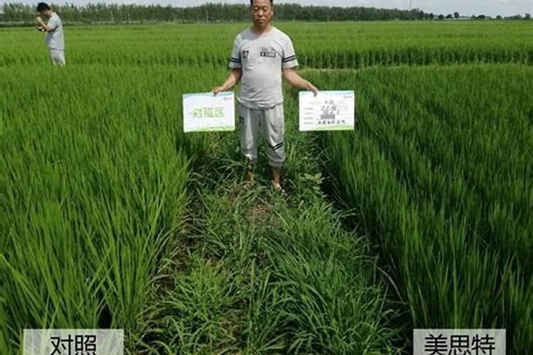 中国复合肥十大品牌