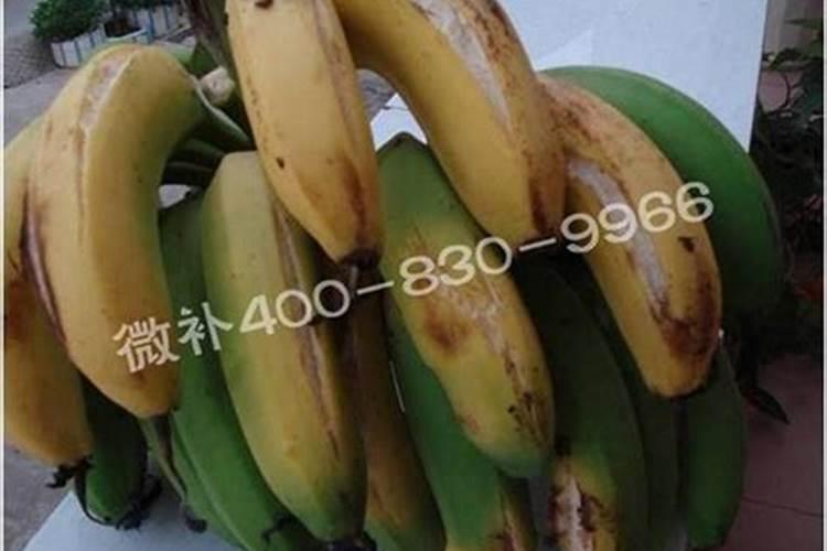 香蕉缺钙的症状、原因及补钙的意义和方法