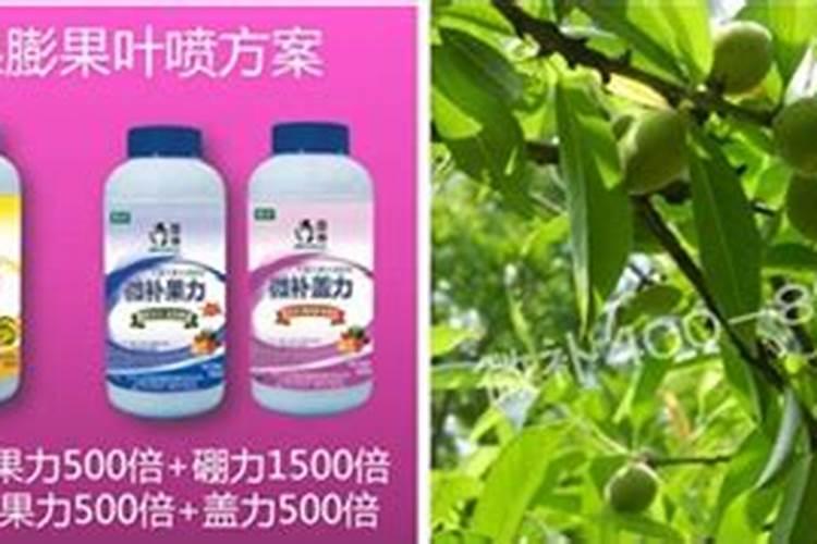 桃树秋季施肥用什么肥最好