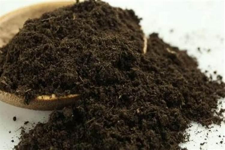 泥炭土和腐殖土哪个好