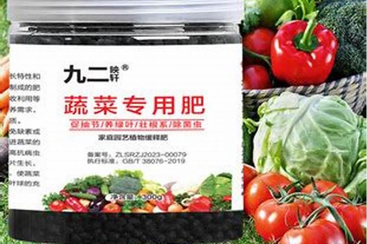 山东蔬菜基地在哪里