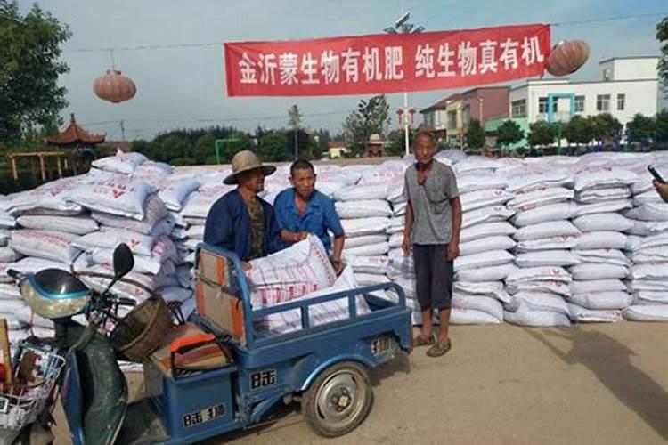 莒南卖肥哪里好