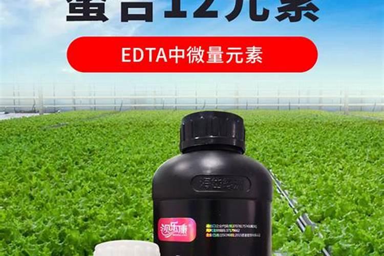 茄子追肥怎么用肥效更高？坐果期追施十二元素好不好