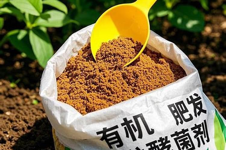 发酵水果皮属于氮肥吗