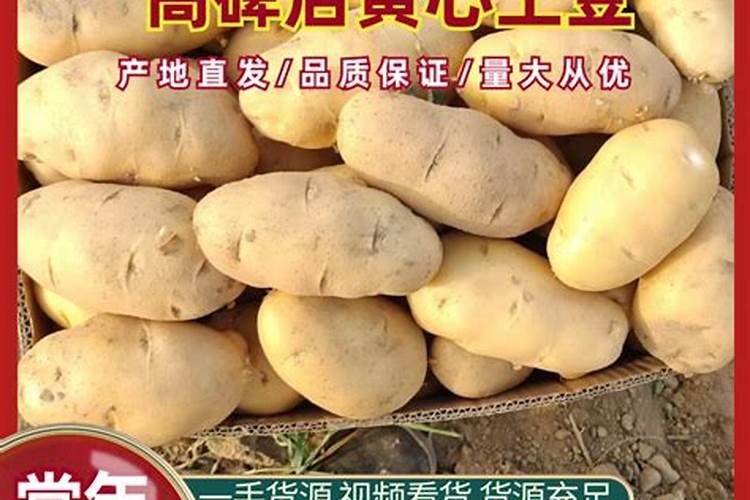 土豆促花保果根茎块膨大素？土豆用什么肥料产量高？