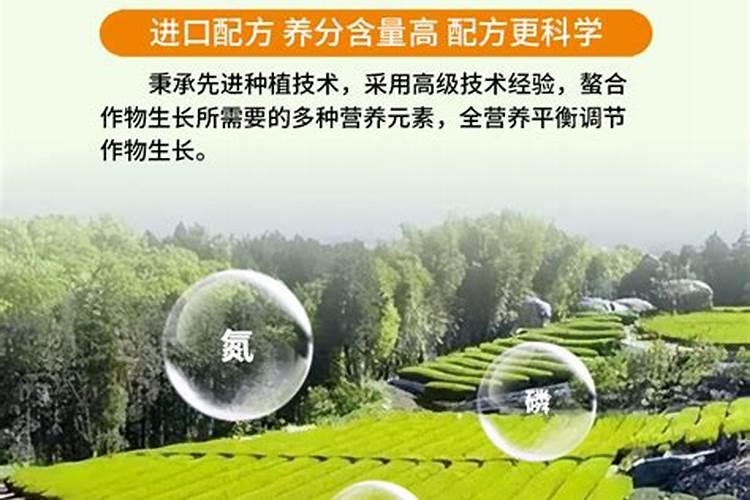 怎样自制氮磷钾肥,怎样施肥效果好