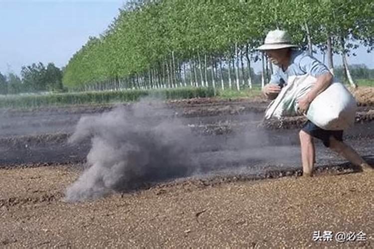 蛋白质含量高的食物含什么元素多