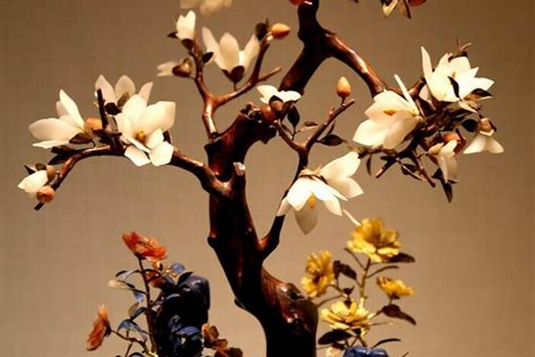 玉兰这种植物,你觉得怎样养才能更旺？