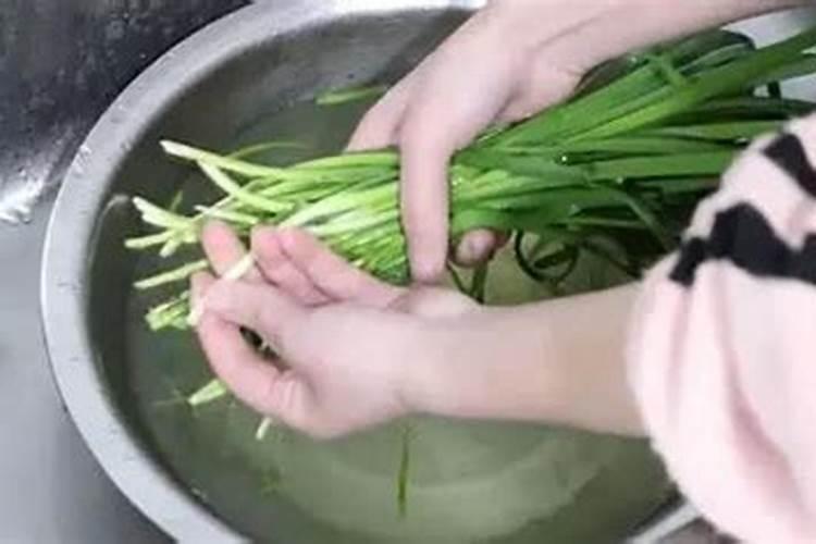 大棚韭菜叶面肥白醋