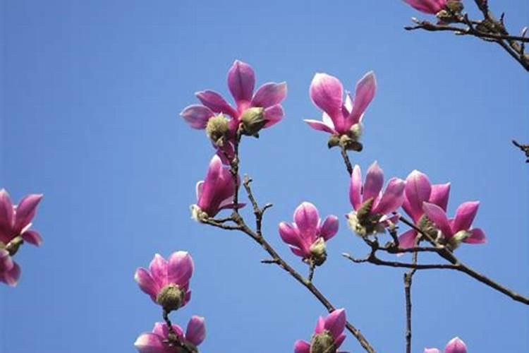 世界上十大名牌肥料排名