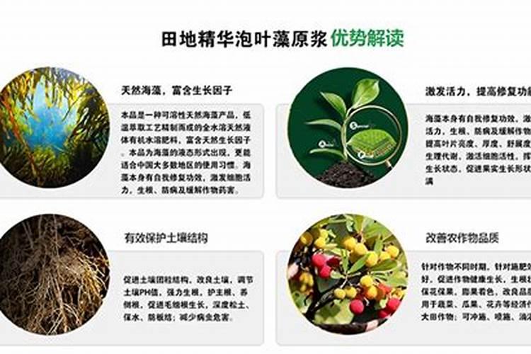 追肥来改善果实的品质,有哪些有机肥料最合适？