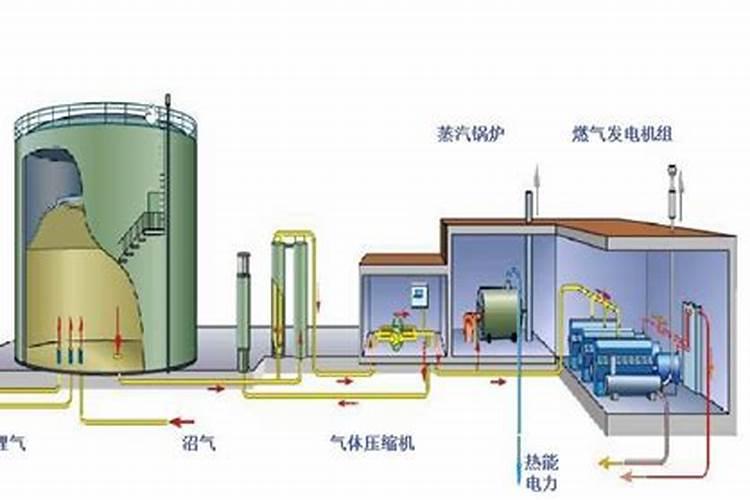 纯沼气渣能用来种植蔬菜吗