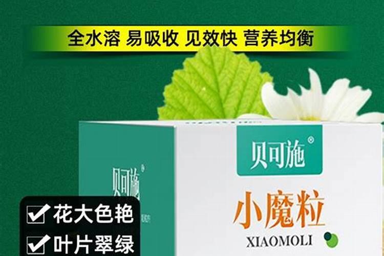 生根用什么肥