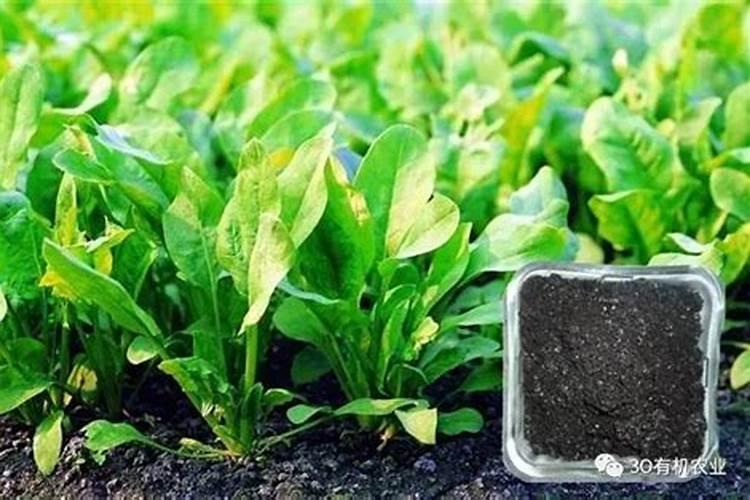 1吨有机肥相当入多少化肥