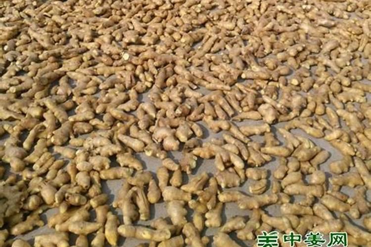 芸苔素内酯用在生姜上冲几次可以吗