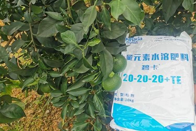 磷酸二铵是什么肥料