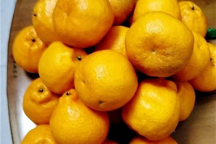 粑粑柑在什么条件下可以种植