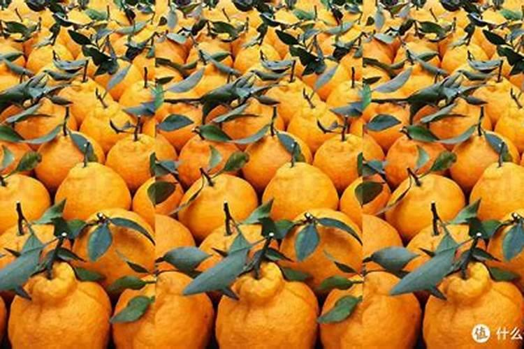 上什么肥料使春见果实既光滑又很甜？