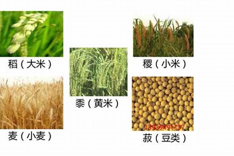 含氨基酸水溶肥料作用,碳铵肥料的特点和作用？