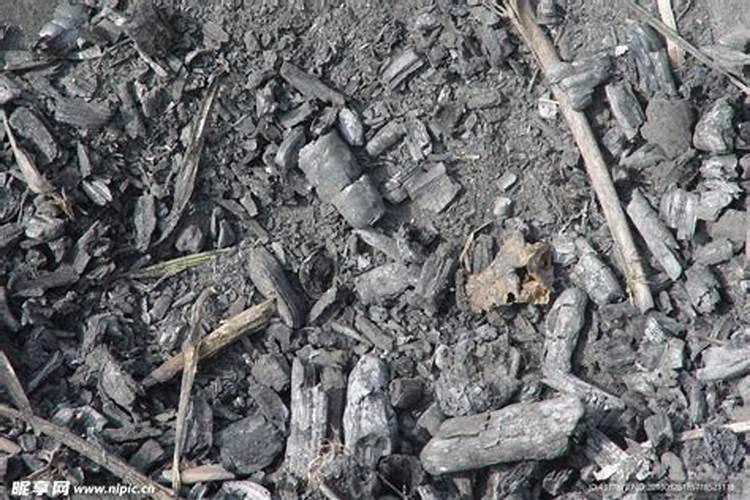 烧烤炭灰可以当肥料吗 肥料有哪些种类